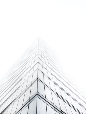 imgpsh_fullsize_anim (1)